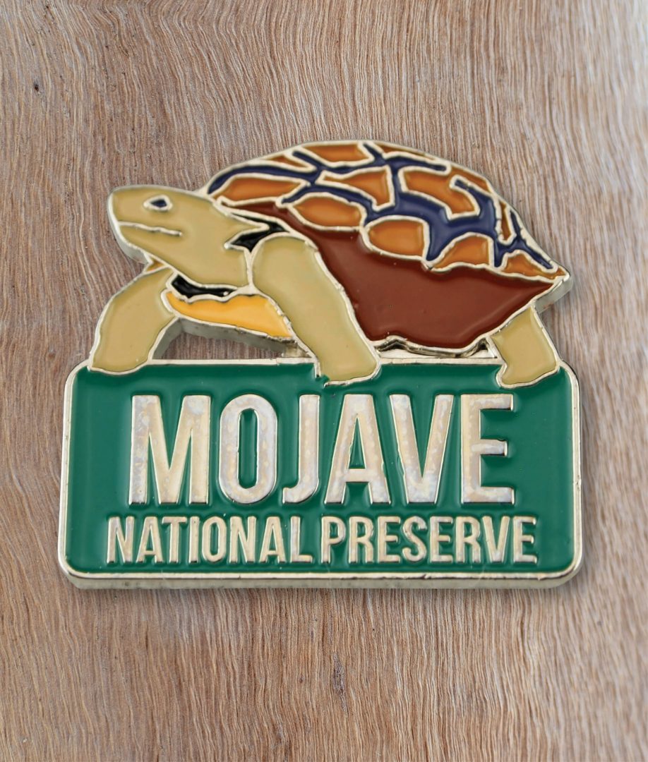 Mojave National Preserve pin