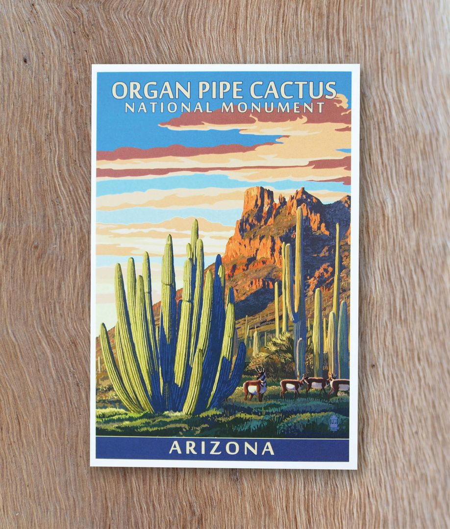 Organ Pipe Cacti National Monument postcard