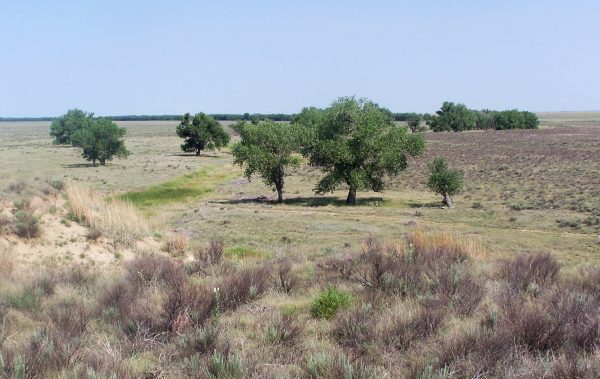 Sand Creek Massacre National Historical Site