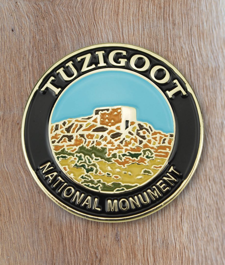 Tuzigoot National Monument pin