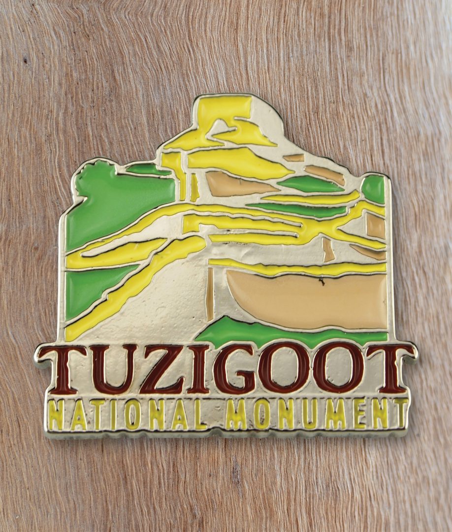 Tuzigoot National Monument pin
