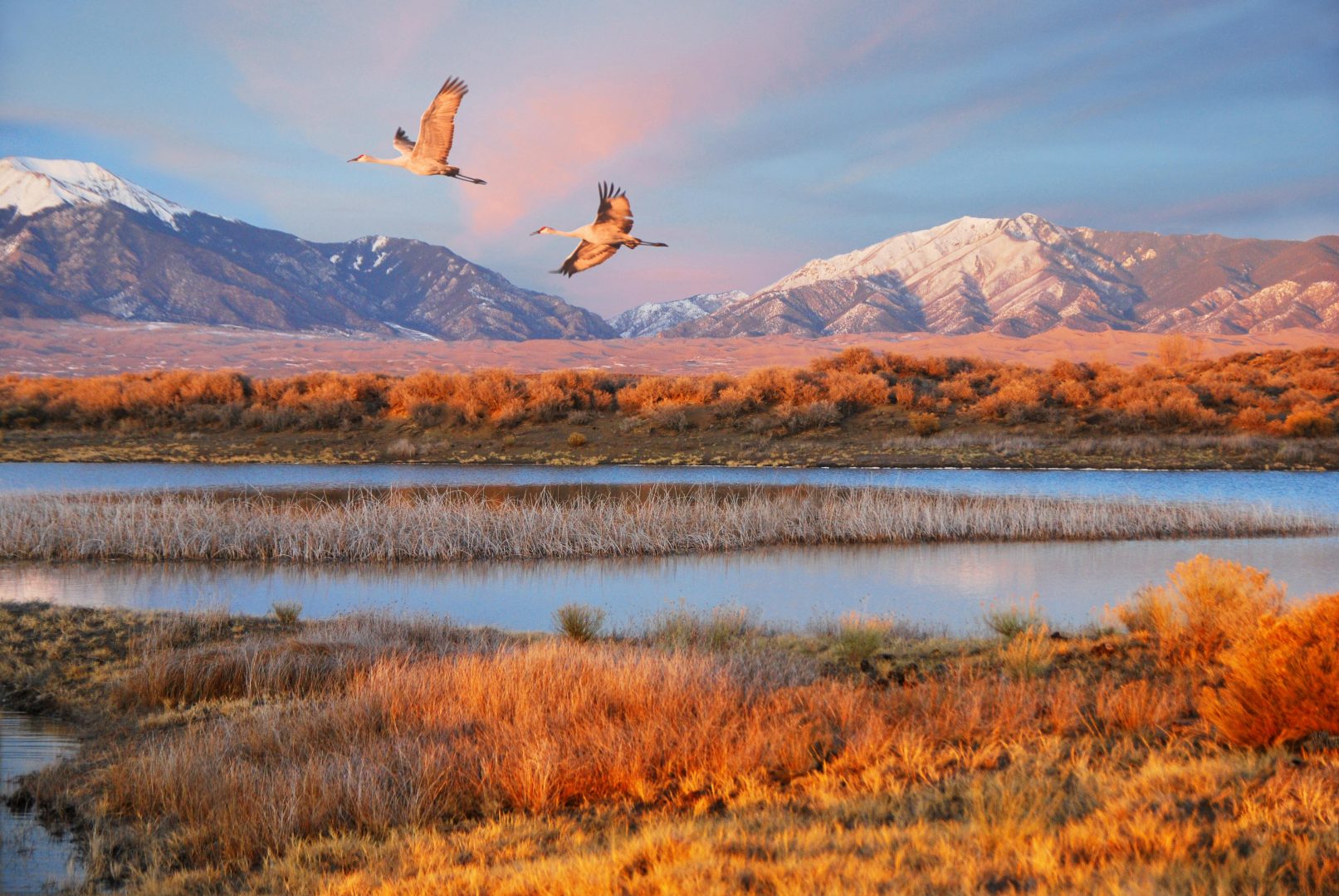 Geese flying over water, mountains
