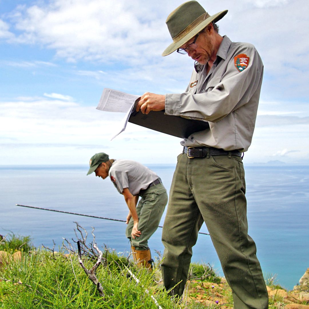 two park rangers conduct a vegetation census and record results