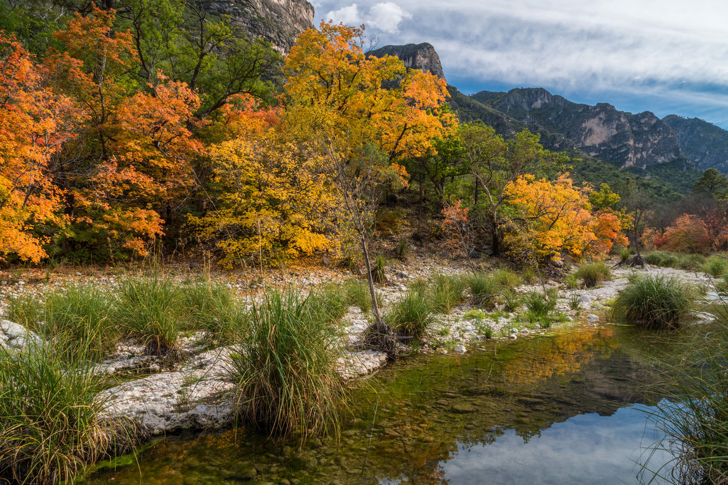Water reflects blue skies and clouds next to white rocks and green grasses. Yellow-orange leaves of trees rise behind it under rocky peaks and blue skies with white clouds.