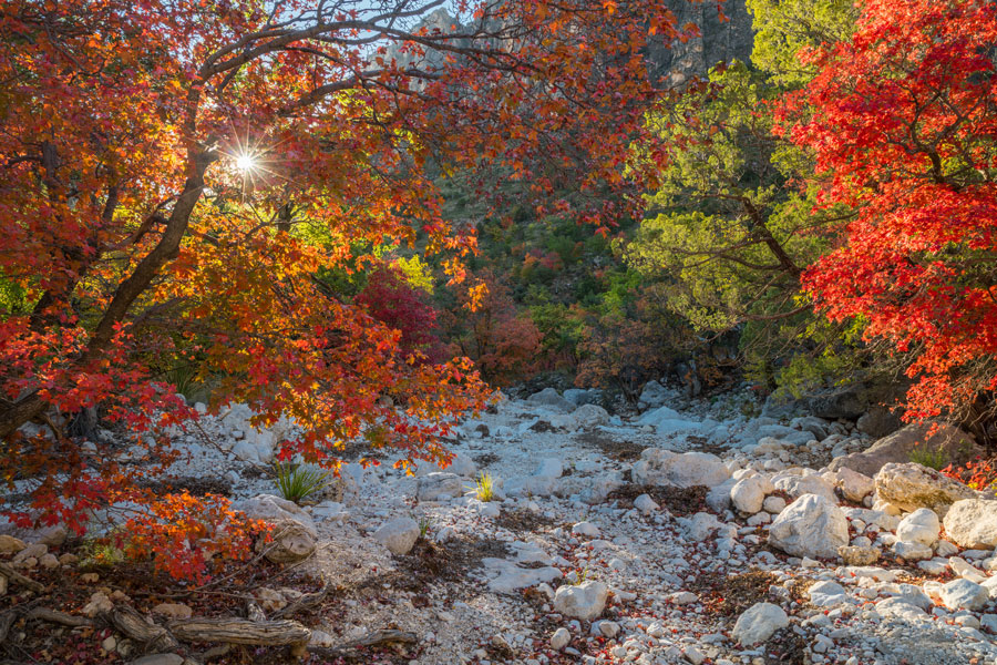White rocks in shadow and sunlight stretch through trees with orange leaves on the left and red and green on the right. A small sun with spreading rays is in the upper left.