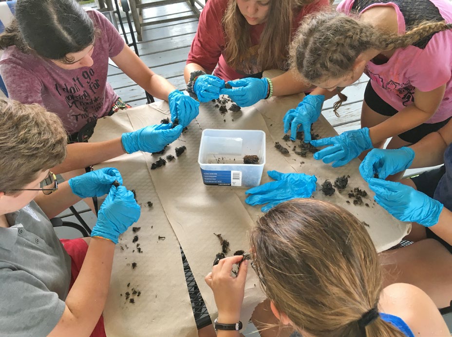 Students inspect owl droppings