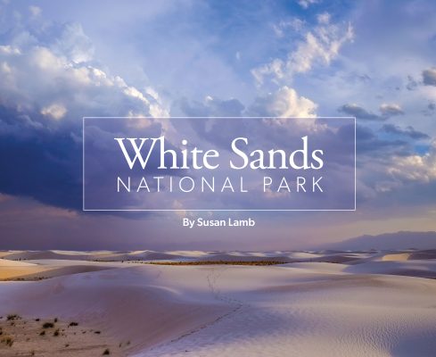 White Sands National Park Book Cover